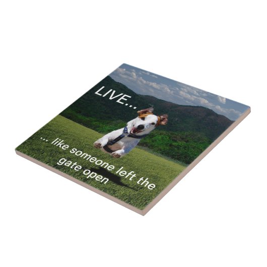 Kundengerecht "leben Sie wie jemand…" Fliese (Seite)