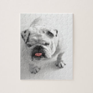 Kundengerechte Bulldogge Puzzle