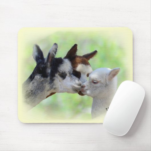 Kundengerechte drei Alpakas Mousepad (Mit Mouse)