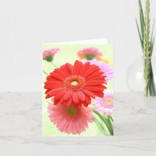 Kundengerechte Gerber Gänseblümchen-Karte Karte