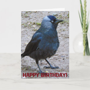 Kundengerechte Grußkarte der Krähe Karte