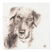 Kundengerechte Haustier-addieren Würfel (Vorderseite)