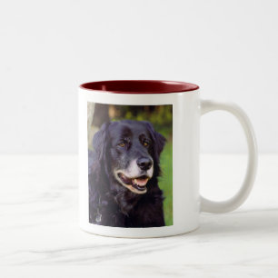 Kundengerechte Kaffee-Tasse Zweifarbige Tasse