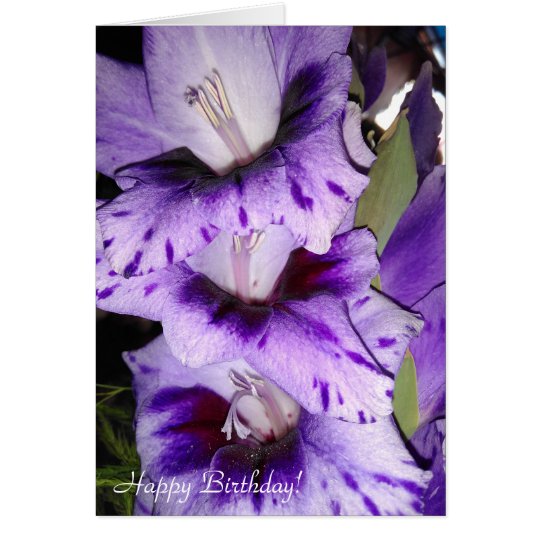 Kundengerechte lila Gladiolus-alles- Gute zum Karte