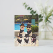 Kundengerechte lustige Blues-Hunde/Labrador laden Einladung (Stehend Vorderseite)