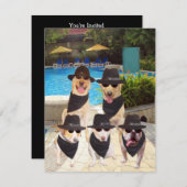 Kundengerechte lustige Blues-Hunde/Labrador laden Einladung (Vorne/Hinten)