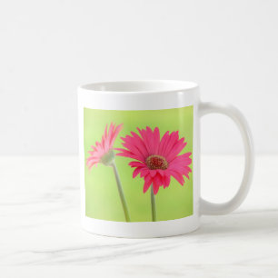 Kundengerechte rosa Gerber Gänseblümchen auf Gr Kaffeetasse