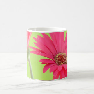 Kundengerechte rosa Gerber Gänseblümchen auf Kaffeetasse
