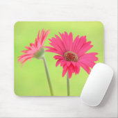 Kundengerechte rosa Gerber Gänseblümchen auf Mousepad (Mit Mouse)