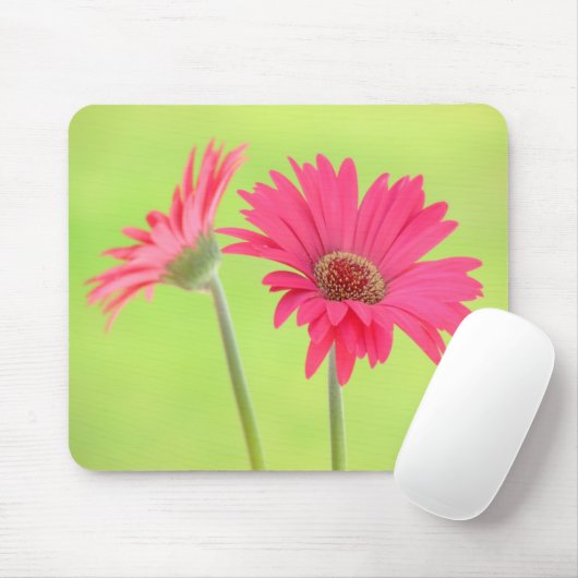 Kundengerechte rosa Gerber Gänseblümchen auf Mousepad (Mit Mouse)