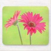 Kundengerechte rosa Gerber Gänseblümchen auf Mousepad (Vorne)