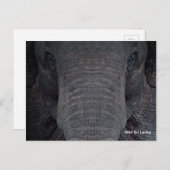 Kundengerechte Sri Lanka Elefant-Postkarte Postkarte (Vorne/Hinten)