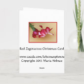 Kundengerechte Zago Kaktus-Weihnachtskarte Feiertagskarte (Rückseite)