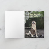 Kundengerechter alter Hase Karte (Innenseite)