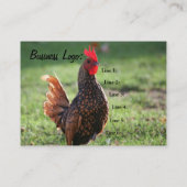 Kundengerechter Hahn, Visitenkarte (Rückseite)