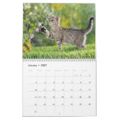 Kundengerechter Katzen-Kalender Kalender (Jan 2027)