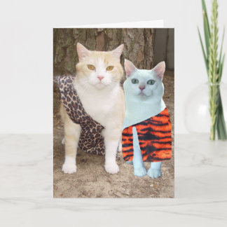 Kundengerechter lustiger Katzen-Geburtstag oder Karte