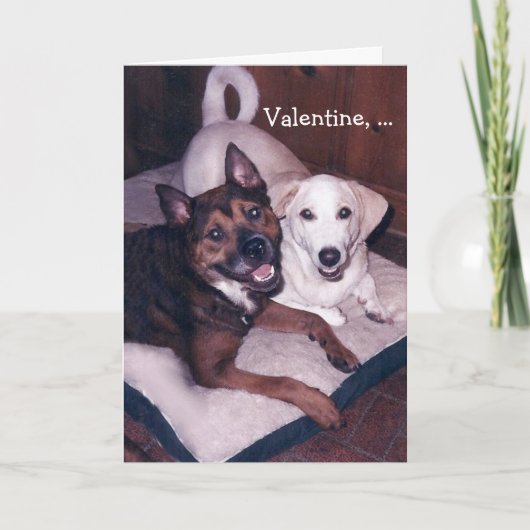 Kundengerechter niedlicher HundeValentine Feiertagskarte (Vorderseite)