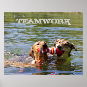 Kundengerechtes Hundeteamwork-Plakat Poster