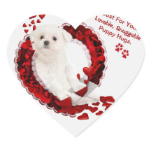 Kundengerechtes maltesisches liebenswürdiges