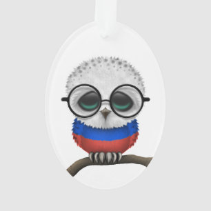 Kundengerechtes Nerdy russisches Baby-Eulen-Chic Ornament
