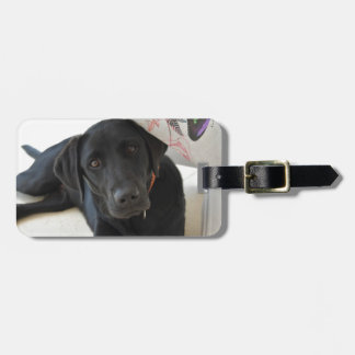 Kundengerechtes schwarzes Labrador retriever Gepäckanhänger