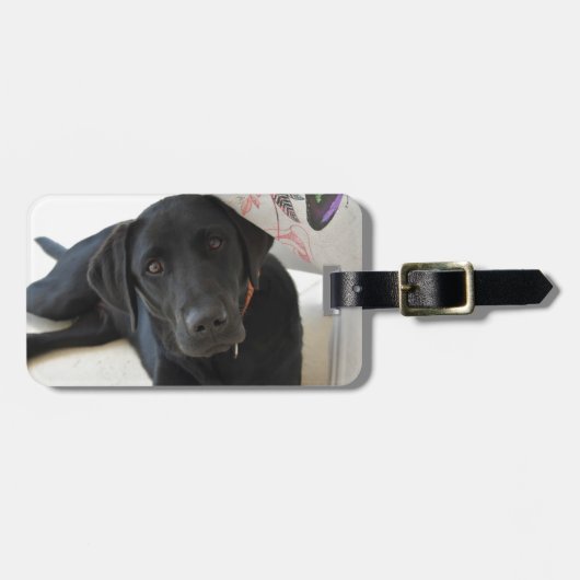 Kundengerechtes schwarzes Labrador retriever Gepäckanhänger (Vorderseite horizontal)