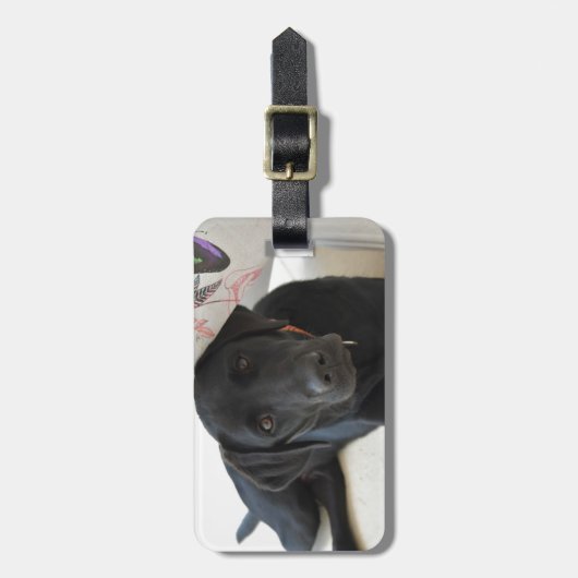 Kundengerechtes schwarzes Labrador retriever Gepäckanhänger (Vorderseite vertikal)