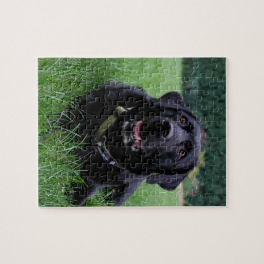 Kundengerechtes schwarzes Labrador retriever Puzzle (Horizontal)