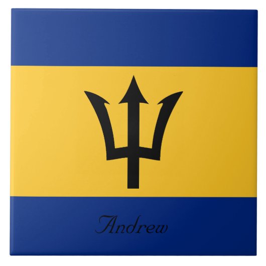 Kundenspezifische Flagge von Barbados Trident von Fliese (Vorderseite)