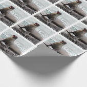 Kundenspezifische Hintergrundfarbe des Siegels Geschenkpapier (Ecke)