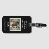 Kundenspezifische Hund-Identifikations-Umbauten Gepäckanhänger (Vorderseite (Horizontal))