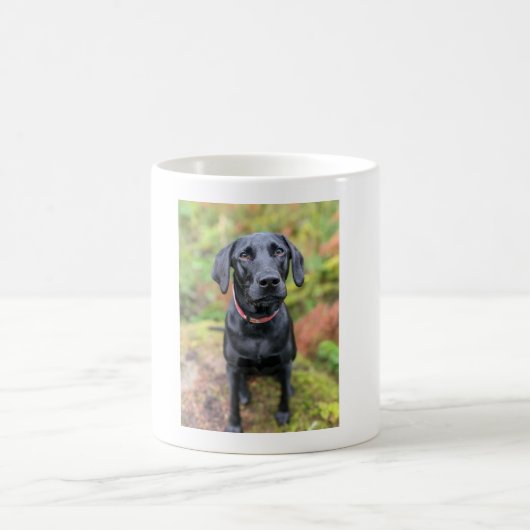 Kundenspezifische Hunde-Tasse - das perfekte Last- Kaffeetasse (Mittel)