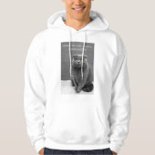 Kundenspezifische Katze Meme lustige Katze Hoodie (Vorderseite)