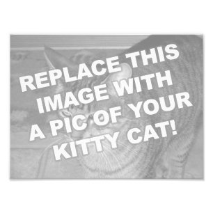 Kundenspezifische Miezekatze-Katze Fotodruck
