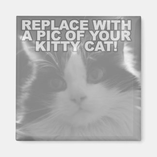 Kundenspezifische Miezekatze-Katze Magnet