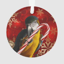 Kundenspezifische Papageien-Foto-Verzierungs-Front