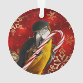 Kundenspezifische Papageien-Foto-Verzierungs-Front Ornament