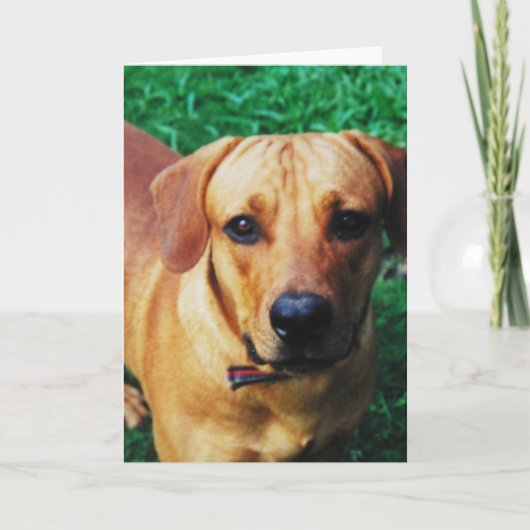 Kundenspezifische Personalisierte Begrüßung von Fo Karte (Vorderseite)