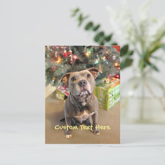 Kundenspezifische Pitbull Weihnachtspostkarte Feiertagspostkarte (Stehend Vorderseite)