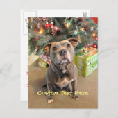 Kundenspezifische Pitbull Weihnachtspostkarte Feiertagspostkarte (Vorne/Hinten)