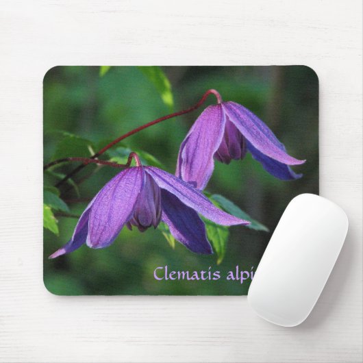 Kundenspezifischer Clematis Mousepad (Mit Mouse)