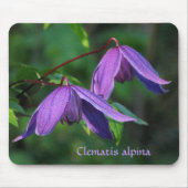 Kundenspezifischer Clematis Mousepad (Vorne)