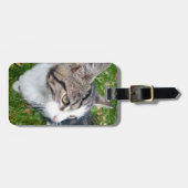 Kundenspezifischer Haustier-Fotoreise-Gepäckumbau Gepäckanhänger (Vorderseite horizontal)