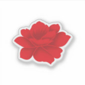 Kundenspezifischer Vinyl Decals. Boote. Autos. Las Aufkleber (Vorderseite)