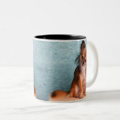 Kundenspezifisches Chihuahua-HundeFoto Zweifarbige Tasse (VorderseiteRechts)