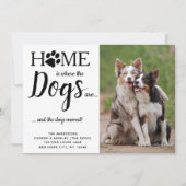 Kundenspezifisches Foto, das wir für Hunde transpo Ankündigung (Vorderseite)