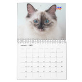 Kundenspezifisches Foto für Firmenlogo Kalender (Jan 2027)