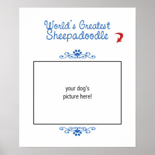 Kundenspezifisches Foto! Weltbestes Sheepadoodle Poster