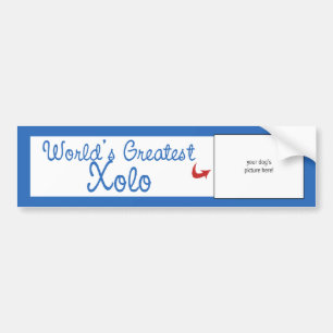 Kundenspezifisches Foto! Weltbestes Xolo Autoaufkleber